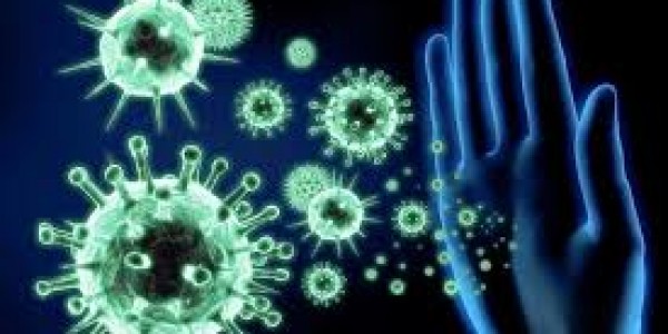 Коронавирус иммунитета 8 ыйга диэри үлэлиир